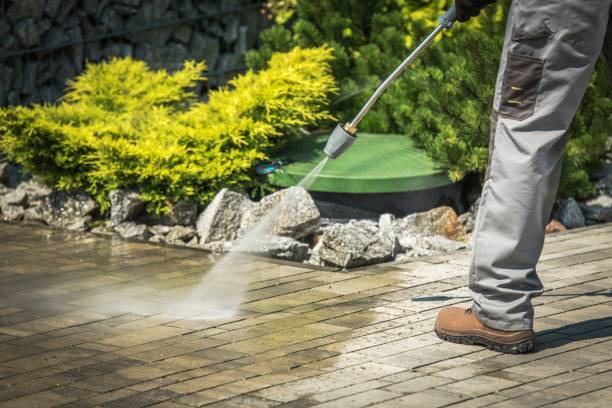 Best Boat and Dock Cleaning  in Baudette, MN