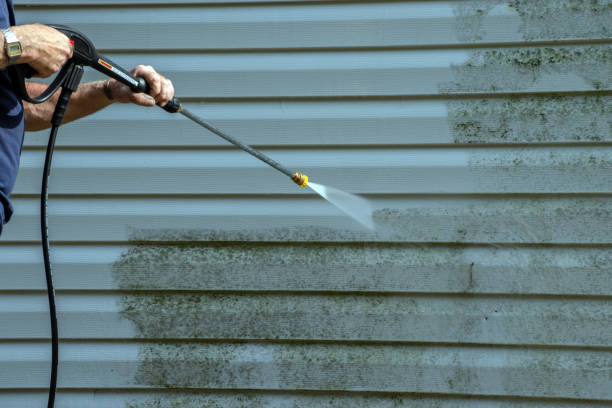 Best House Exterior Washing  in Baudette, MN